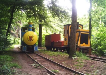 Jaar 2012