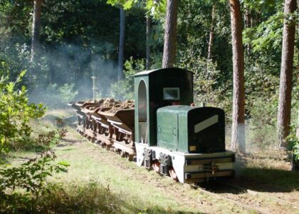 Jaar 2013