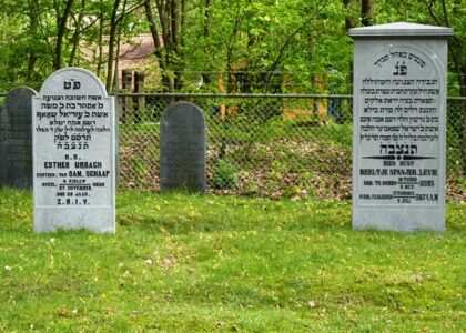 Jaar 2017