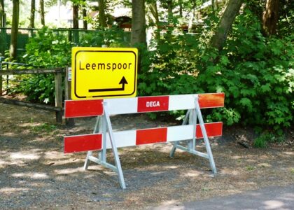 Jaar 2020